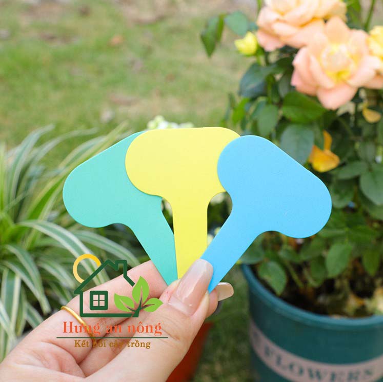Set 100 Thẻ cắm name tag nhựa có 6 màu lựa chọn 5x7cm