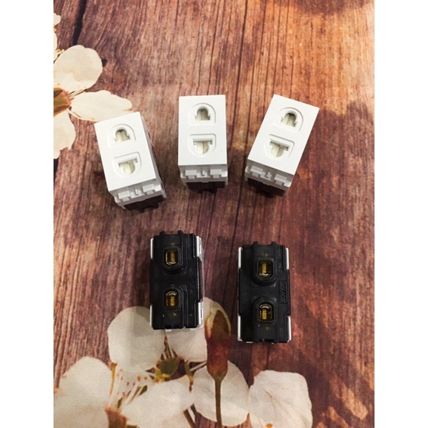 Ổ cắm 2 chấu hàng MPE