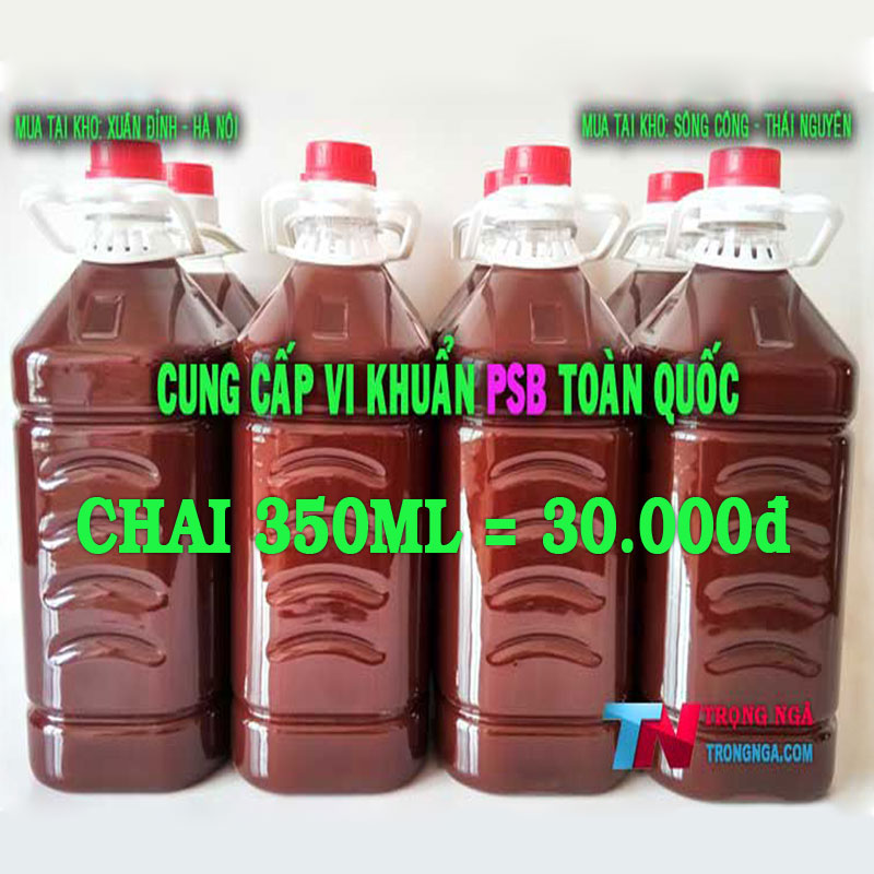 Vi khuẩn quang hợp PSB chai 350ml đậm đặc công thức chuẩn - Làm trong sạch nước nuôi tôm cá tép