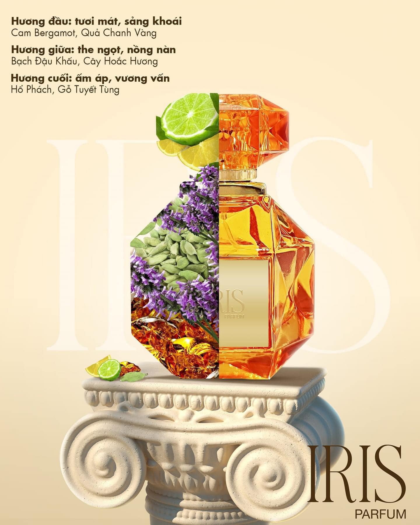 Nước hoa nữ Hương Thị Iris Parfum 50ml