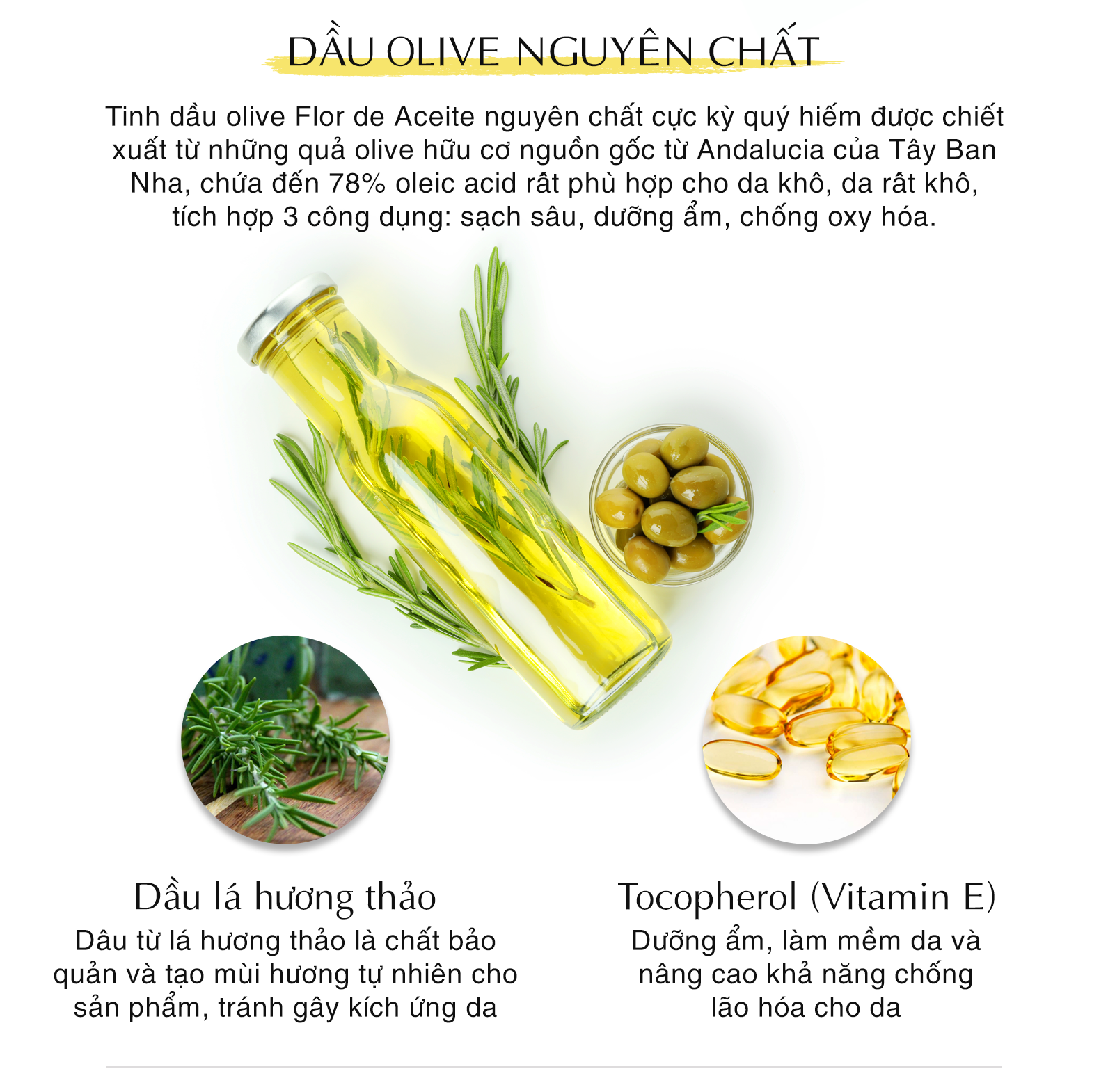 Set 3 Sample Dầu Tẩy Trang Olive DHC Deep Cleansing Oil (3ml x 3)