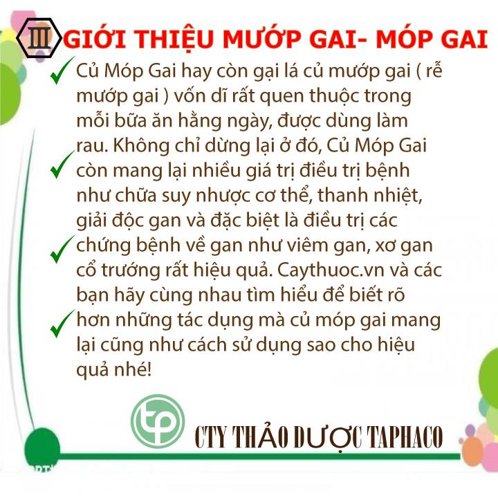 Rễ mướp gai khô 200g - Dược Tấn Phát