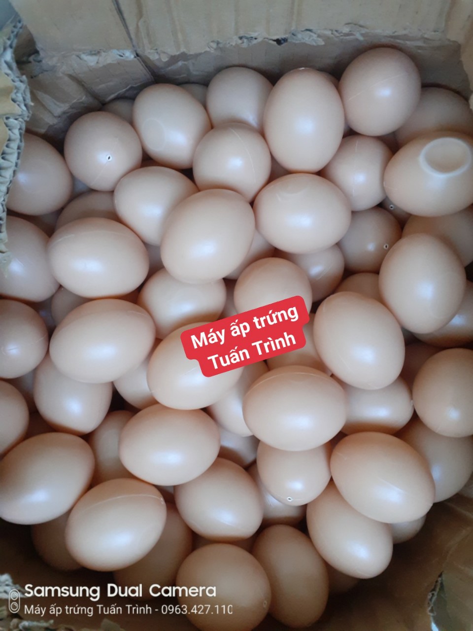 Trứng gà giả
