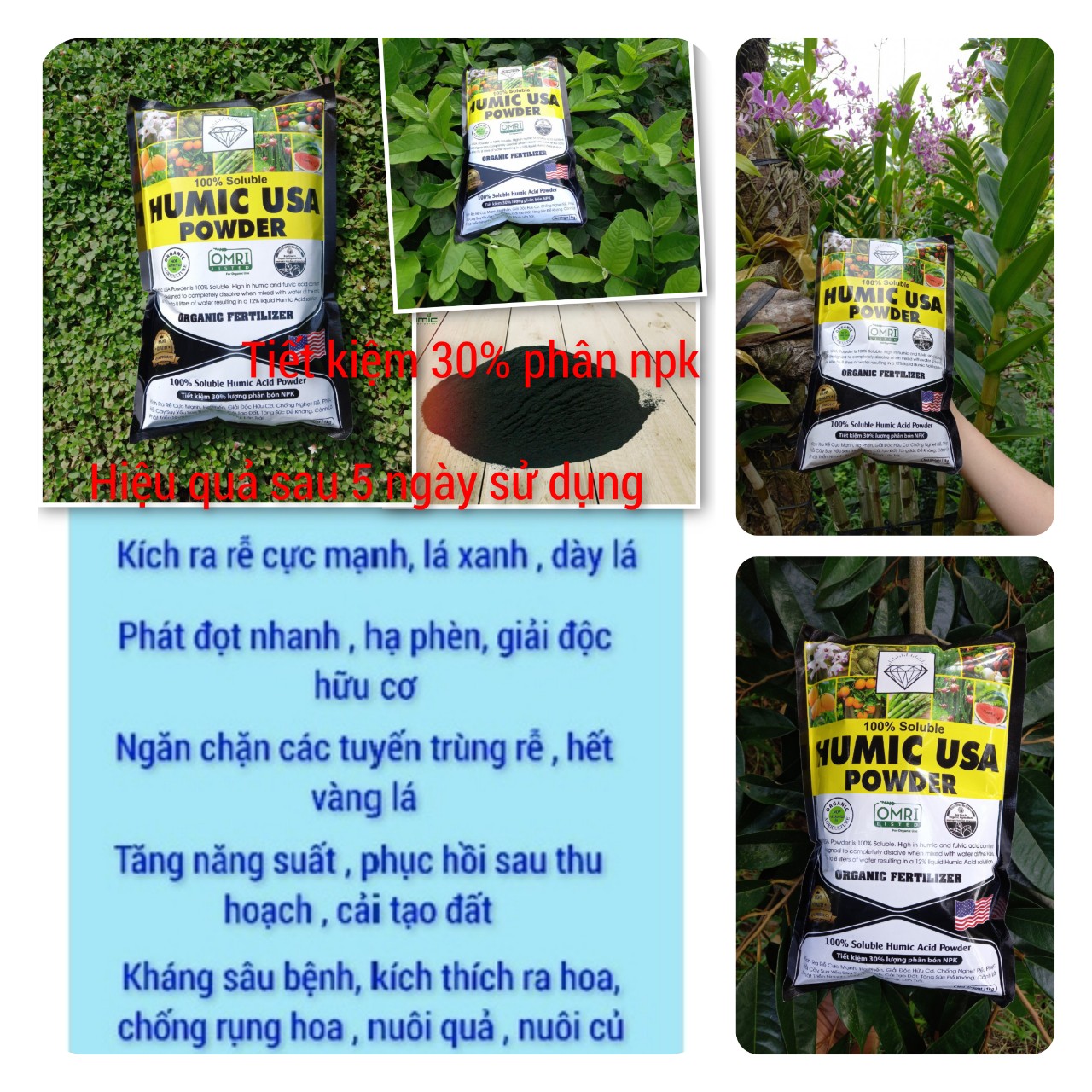 (combo 5 gói ) Humic USA (Phân Hữu Cơ Kích Thích Ra Rễ 1 Kg) dạng bột mịn tan hoàn toàn