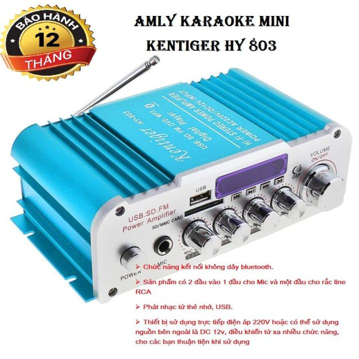 Amply mini, amply, âm ly karaoke, bộ Khuếch Đại Mini Tại Nhà 600W 220V/12V Chính Hãng Bộ Khuếch Đại Công Suất Âm Thanh Nổi Bluetooth, Máy Phát Nhạc Âm Thanh Khuếch Đại Âm Thanh Xe Nhà