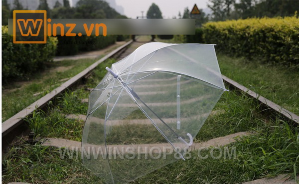Ô Dù Trong Suốt Chụp Ảnh