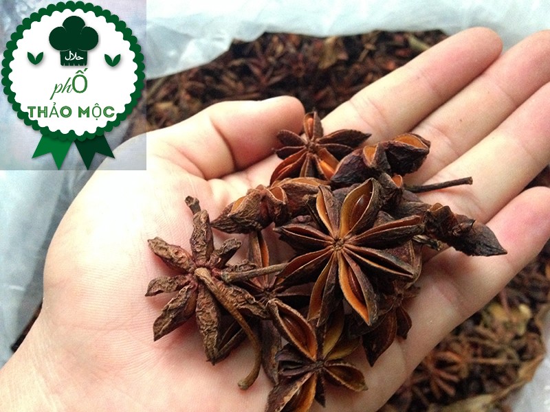 100gr Hoa Hồi ( Đại Hồi)