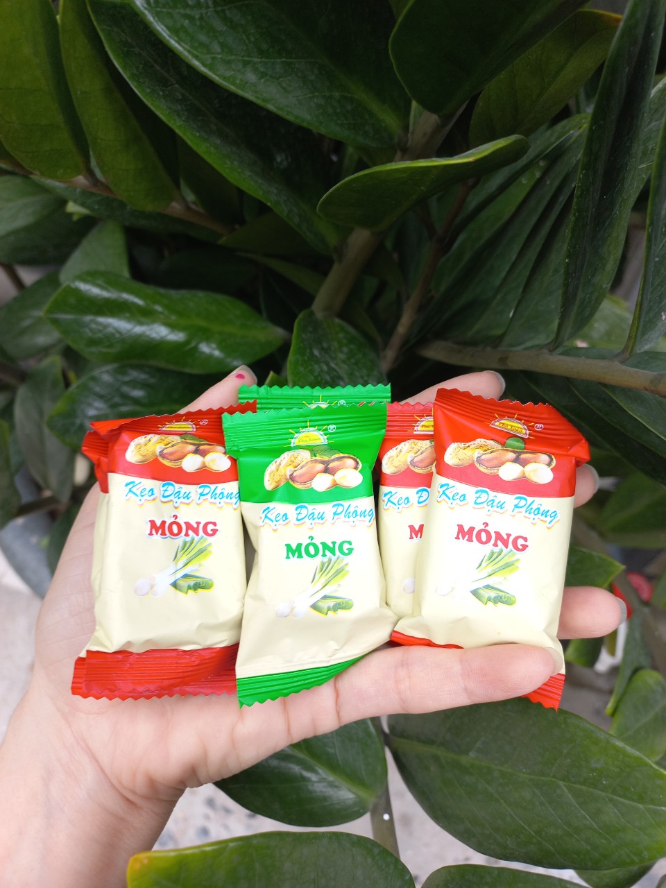 Tết 50g Kẹo ĐẬU PHỘNG HÀNH loại đặc biệt thơm ngon - Bánh kẹo tết Phú Xuân