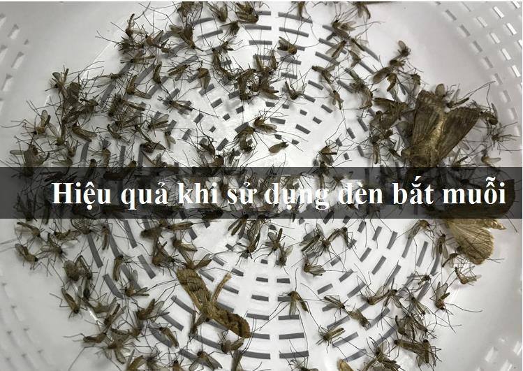 Đèn bắt muỗi thông minh Kachi MK152 Màu Đen