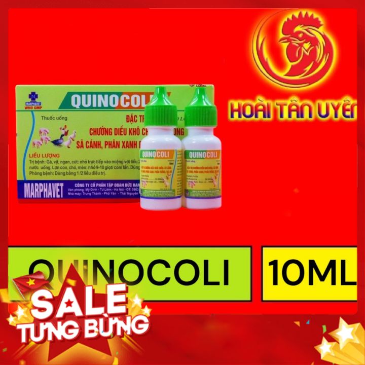 QUINO COLI PHÂN XANH PHÂN TRẮNG 1 HỘP 10 LỌ