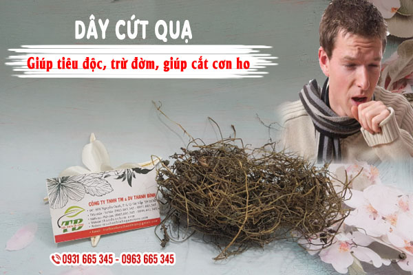 Dây cứt quạ 1kg khô loại 1 - dược liệu thanh bình