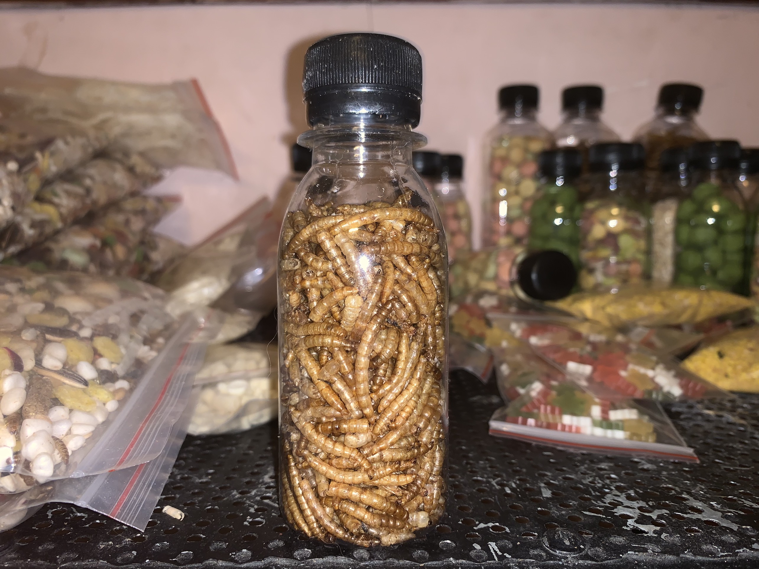sâu khô cho Hamster