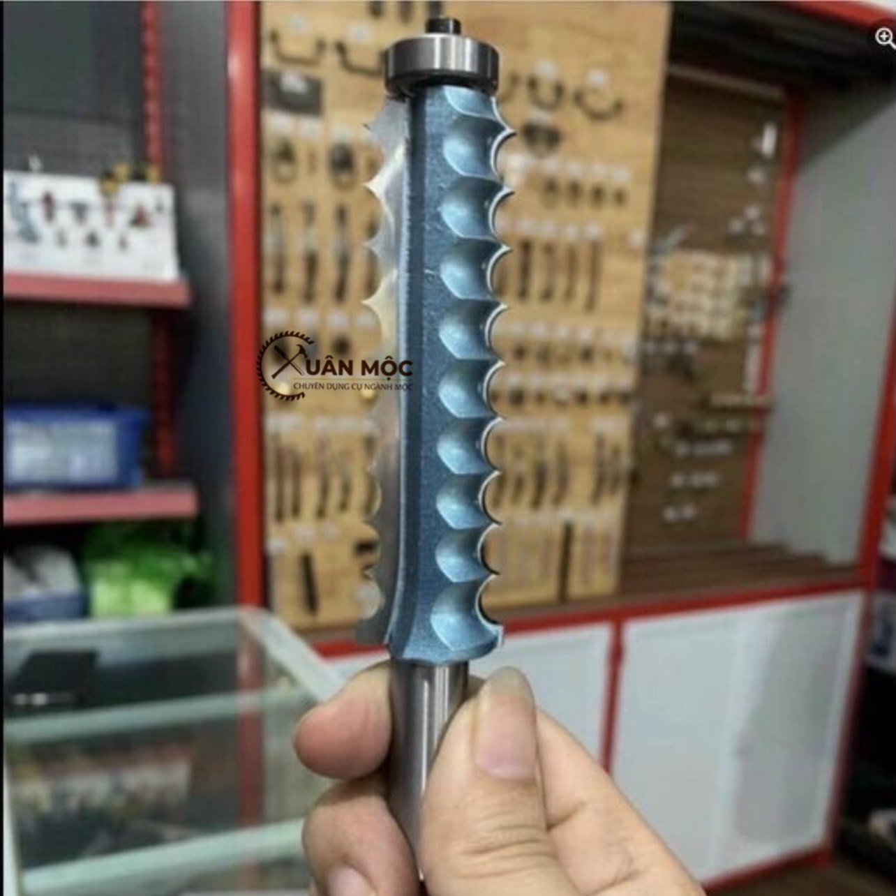 Mũi soi chỉ trường kỷ
