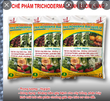 Chế Phẩm Trichoderma Bacilus - Cánh buồm vàng - Gói 1Kg