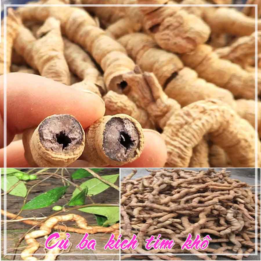 Ba kích tím khô 1 kg
