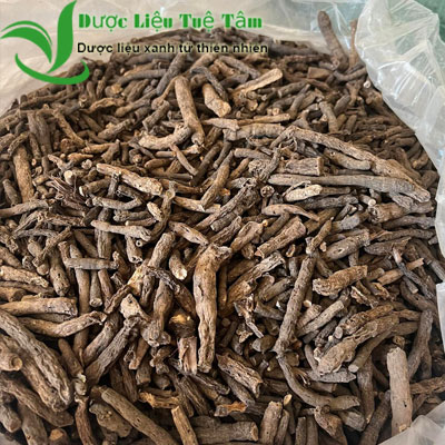 Sâm tiên mao - sâm cau đen - loại 1 sấy khô cao cấp - gói 500gr