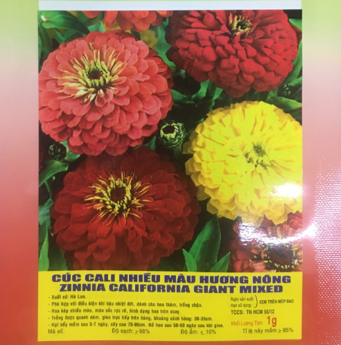 Hạt Hoa Cúc Cali Nhiều Màu - Gói 1 Gram