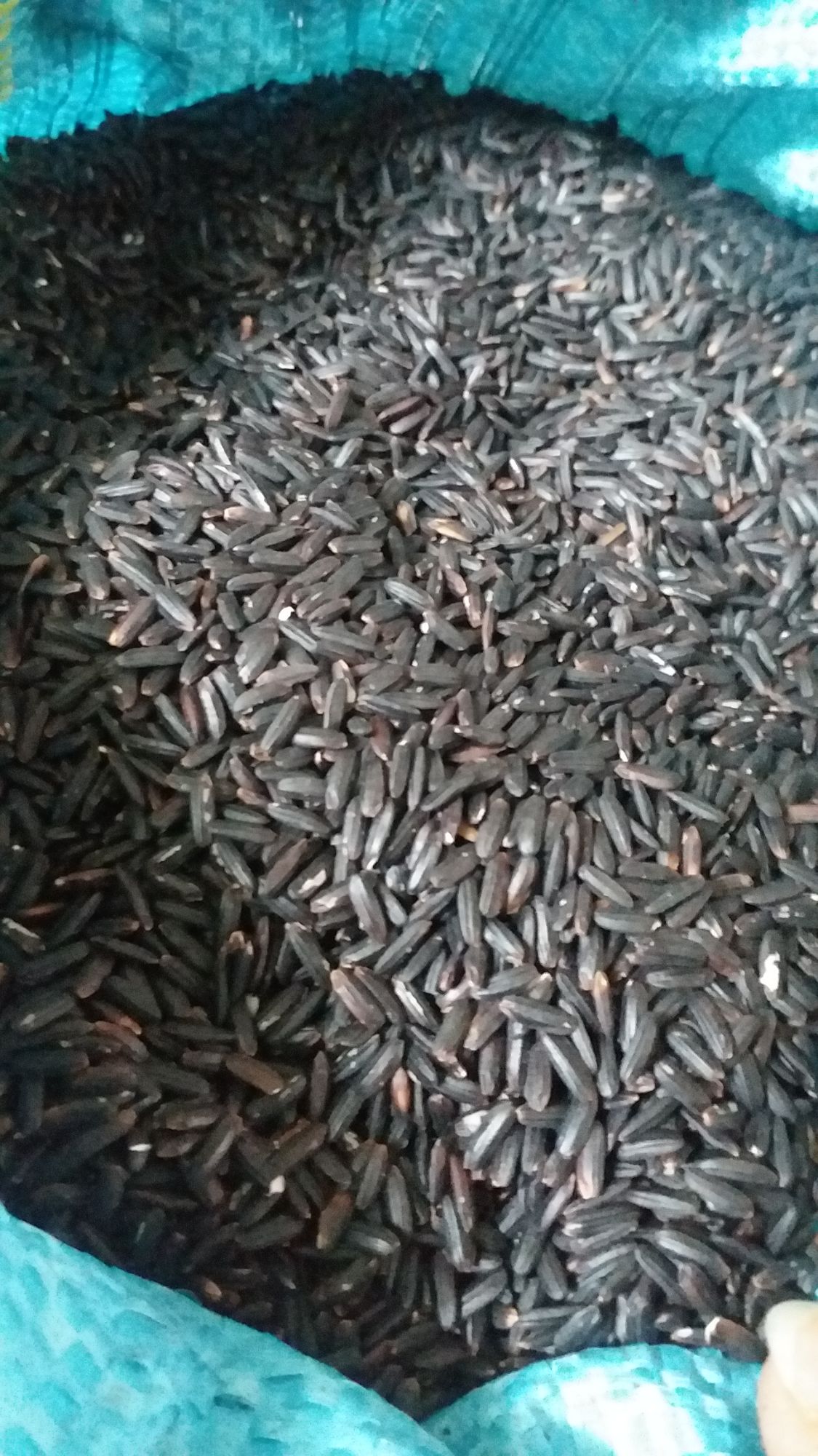 Nếp than - nếp cẩm túi 1kg