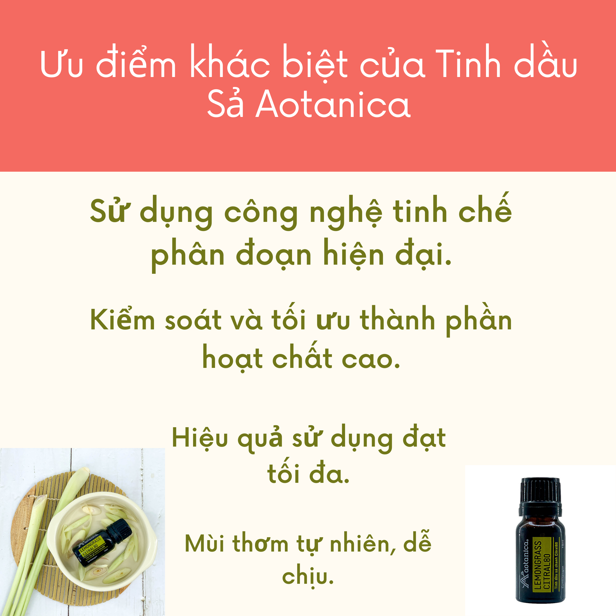 Tinh dầu sả phân đoạn Citral-80 Aotanica 10ml