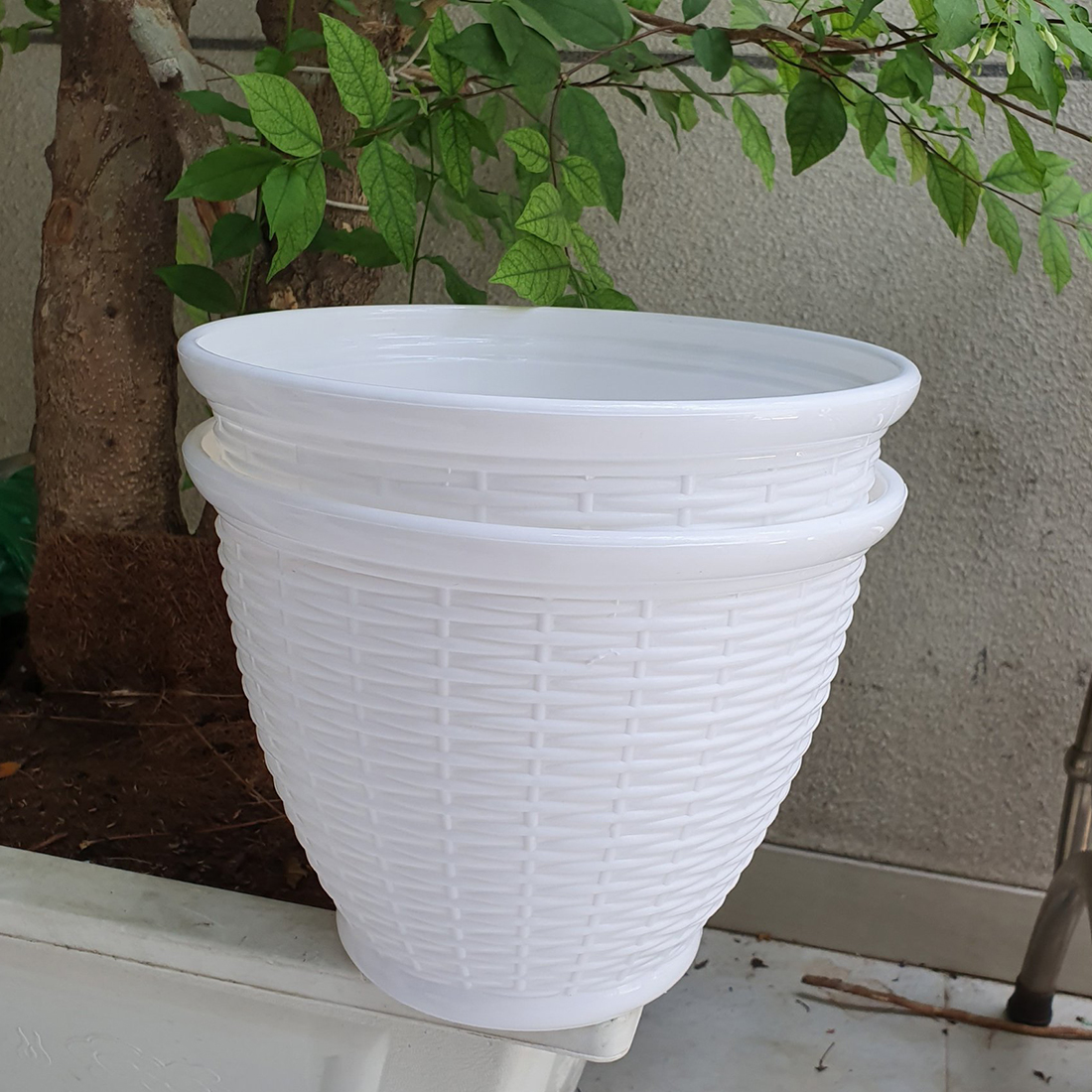 Bộ 4 chậu mây đan vành 26x20cm màu trắng trồng hoa nhựa dày