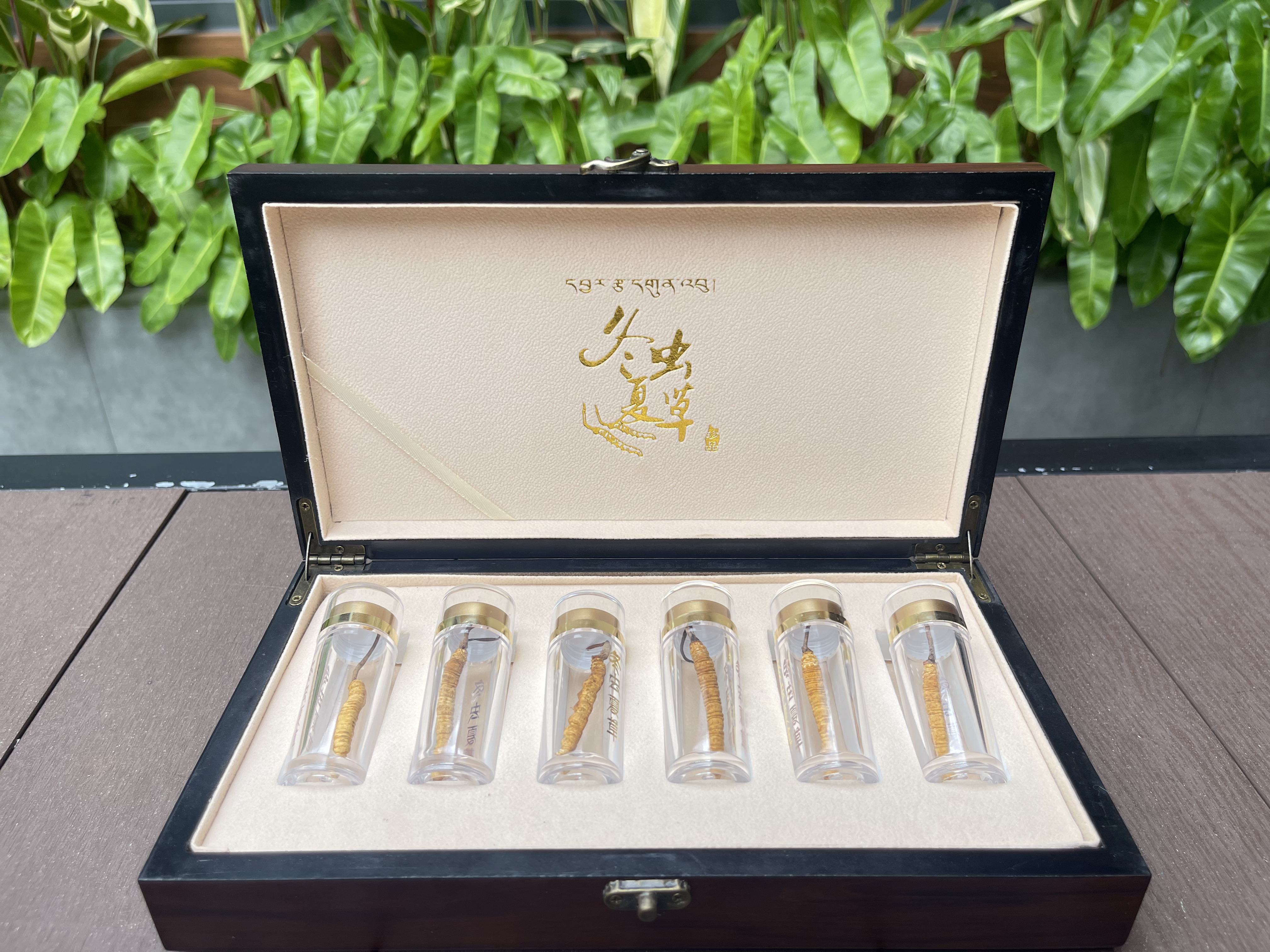 Hộp 6 con to size lớn Đông Trùng Hạ Thảo Tây Tạng Khô tự nhiên loại 1gram 3 con