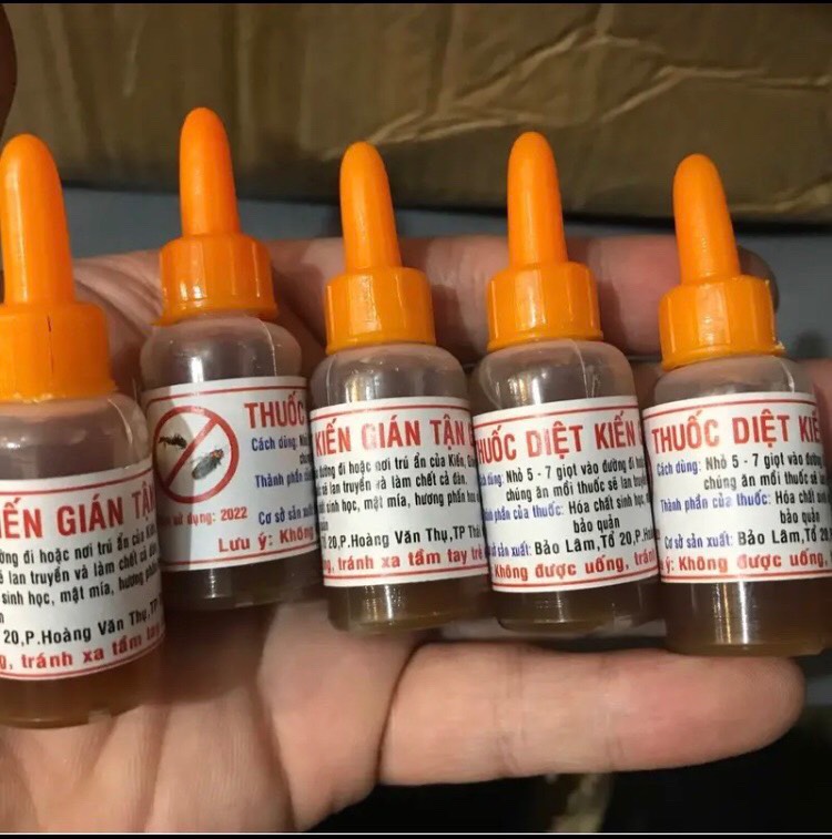 Lọ diệt kiến gián sinh học không hoá chất