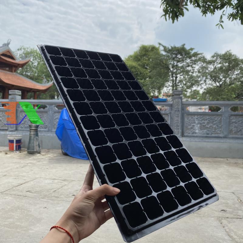 Bộ 5 khay ươm cây, khay ươm hạt, vỉ ươm (72 lỗ)