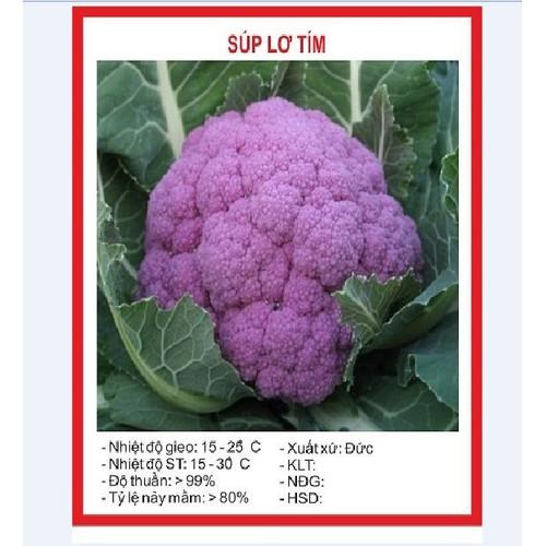 Hạt giống Súp lơ Tím - 20 hạt