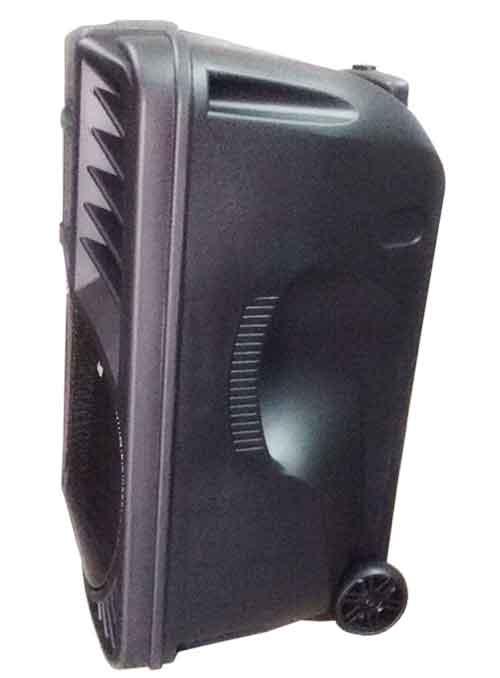 Loa kéo di động Ronamax H12