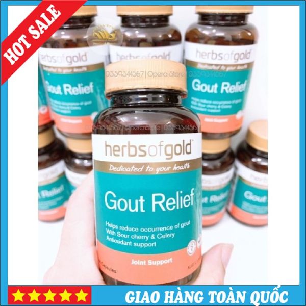 Gout - HERB OF GOLD Gout Relief 60v