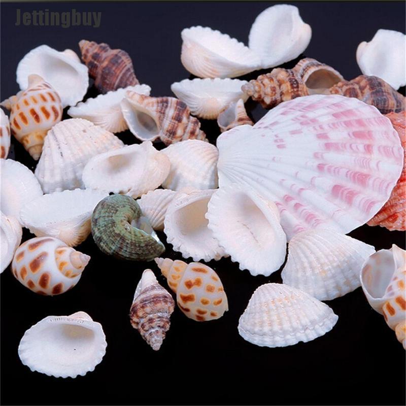 100g Beach Mixed SeaShells Sea Shells Shell Craft SeaShells Aquarium Decor Random