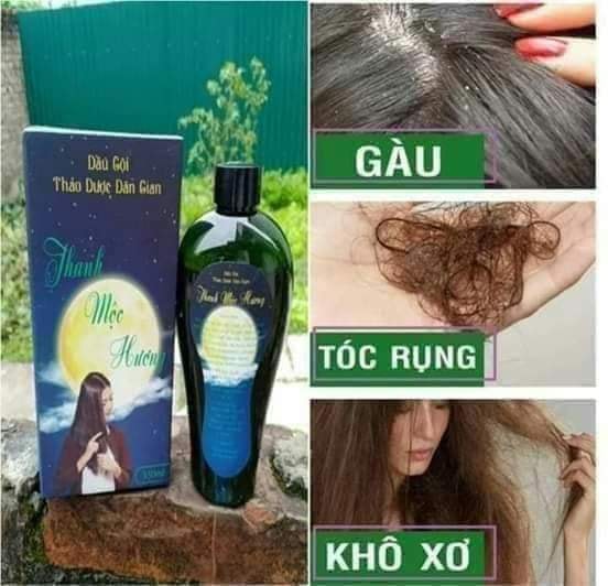 [dầu gội thảo dược chăm sóc tóc, sạch da đầu] Dầu gội thanh mộc hương 350ml