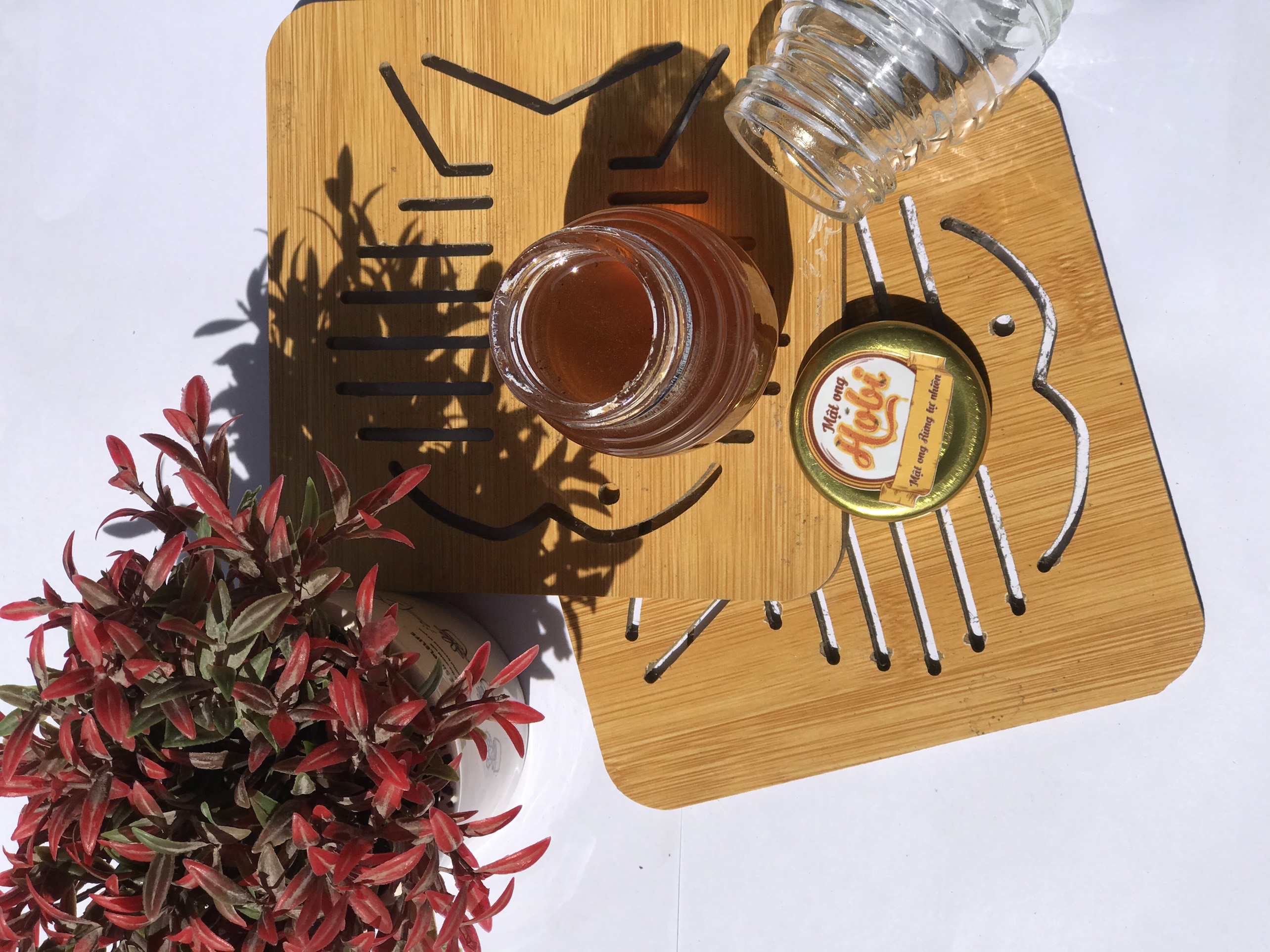 Mật ong rừng Hobi 100ml [Lấy tại rừng]