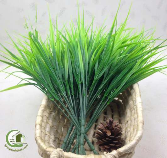 [HCM]Bụi cỏ lúa màu xanh