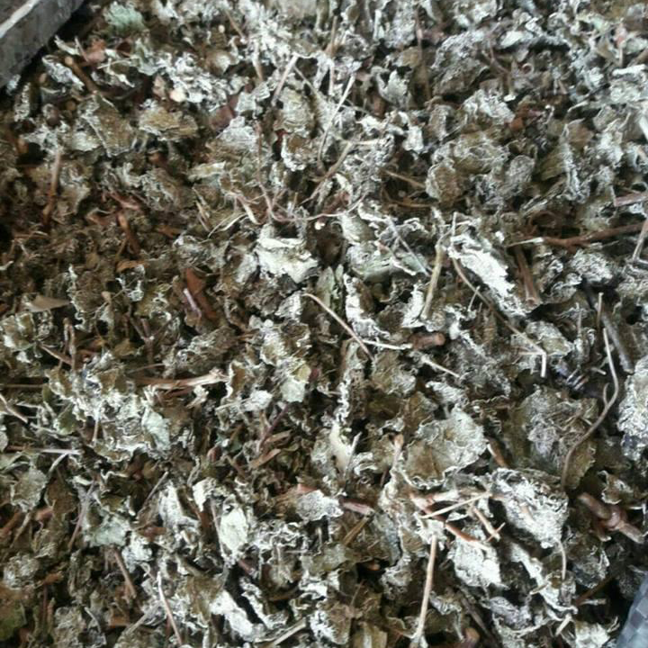 Chè dây cao bằng | chè tuyết cao bằng | trà dây - gói 1kg