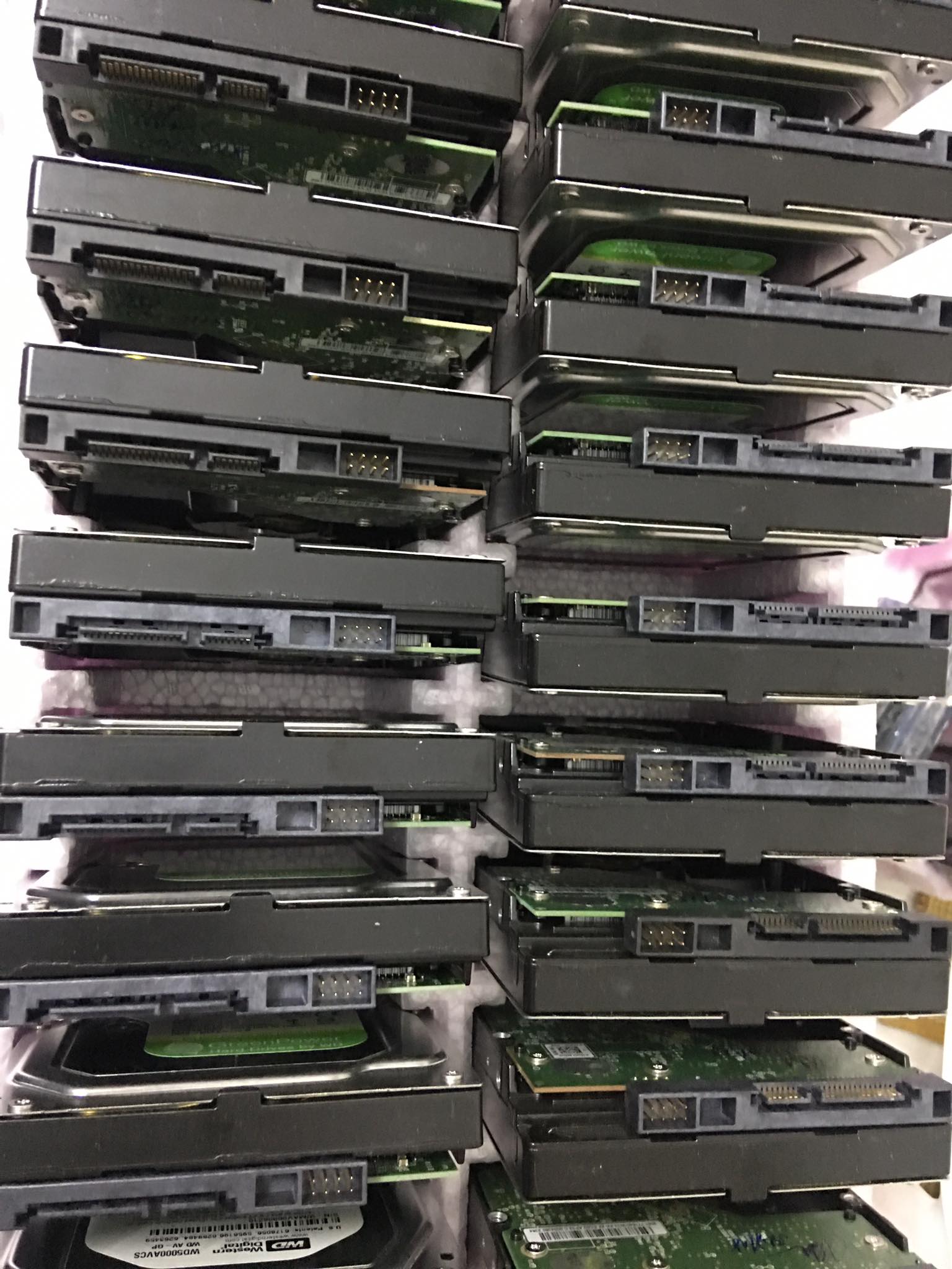 [HCM]Ổ Cứng 500gb Cũ 3.5 inch PC Western Green