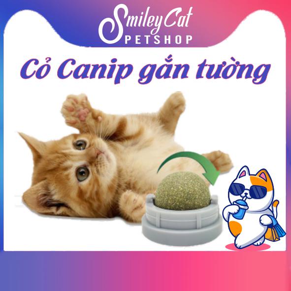 Cỏ Canip Gắn Tường - Đồ chơi cho mèo