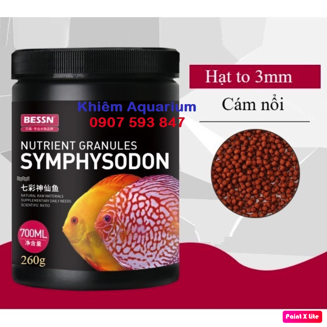 Bessn discus cám 42% đạm giúp tăng màu, tăng cơ cho cá dĩa, thần tiên hộp 450g