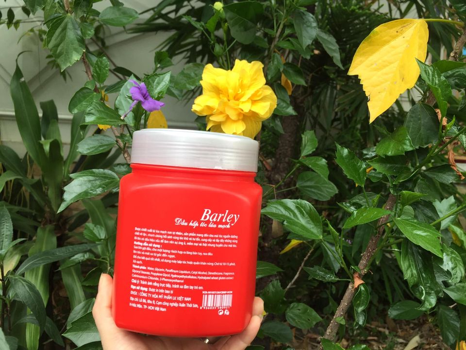 Dầu hấp Barley đỏ LK chiết xuất lúa mạch 1000ml