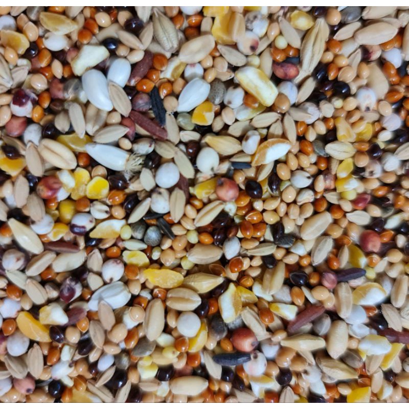 Thức ăn cu gáy loại đặc biệt