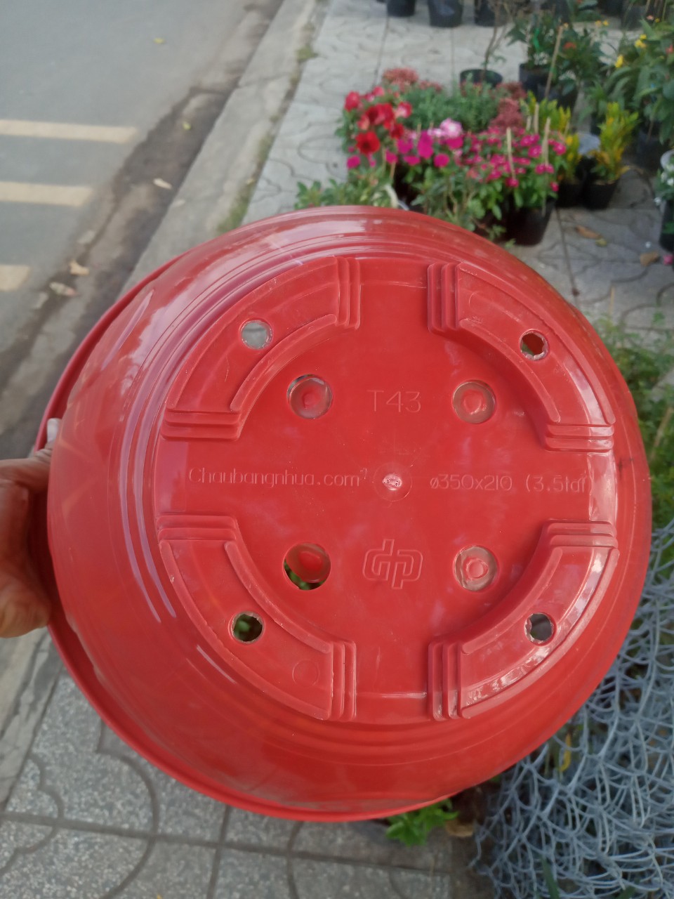 Chậu Nhựa Đỏ Trồng Cây T43