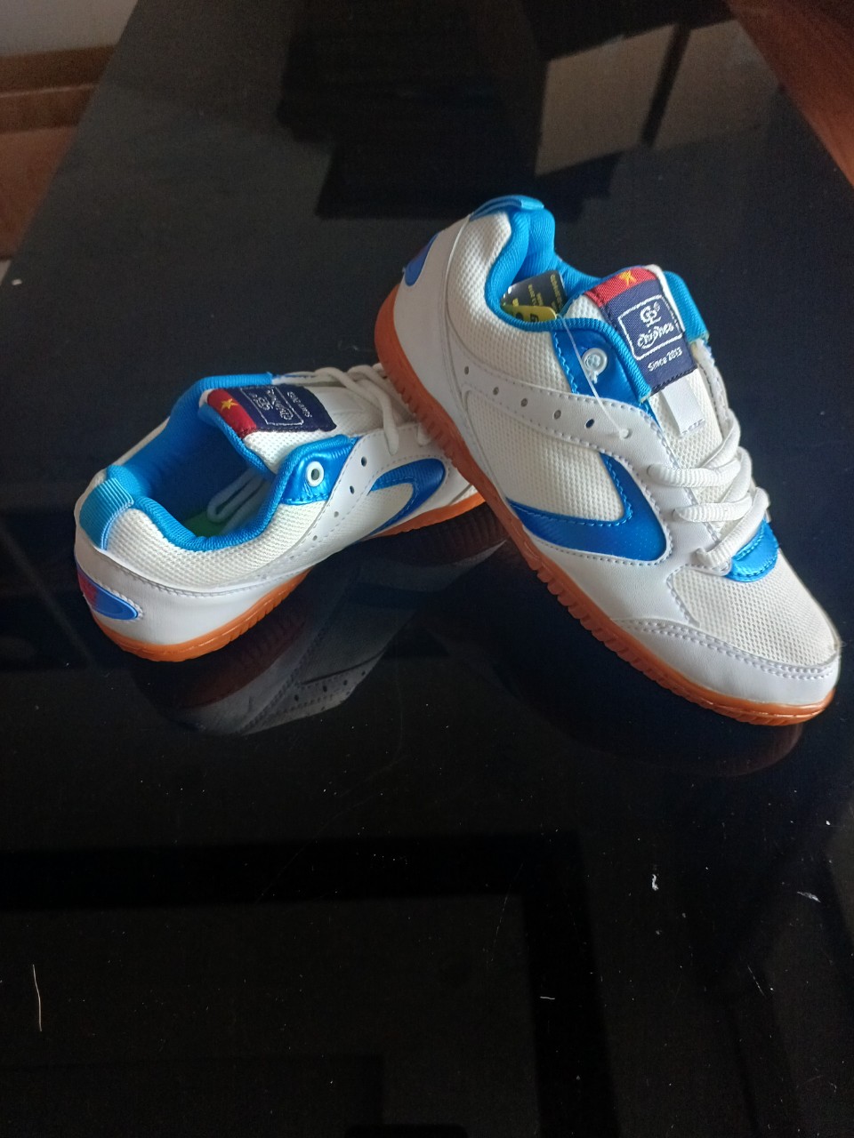 Giày Chơi Cầu Lông - Bóng Chuyền - Bóng Bàn