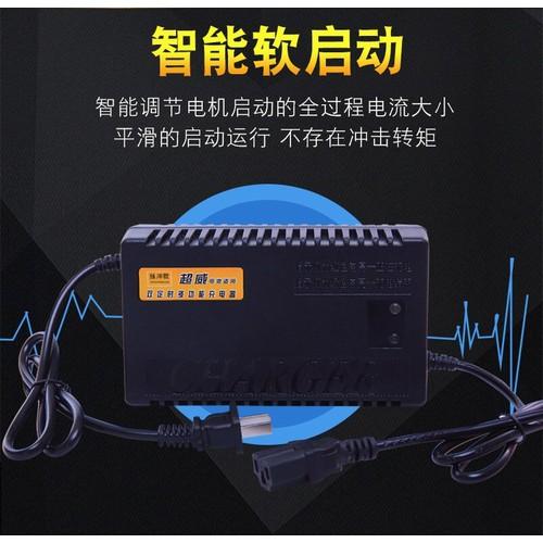 Sạc xe đạp điện 48V 20Ah - 20Ah