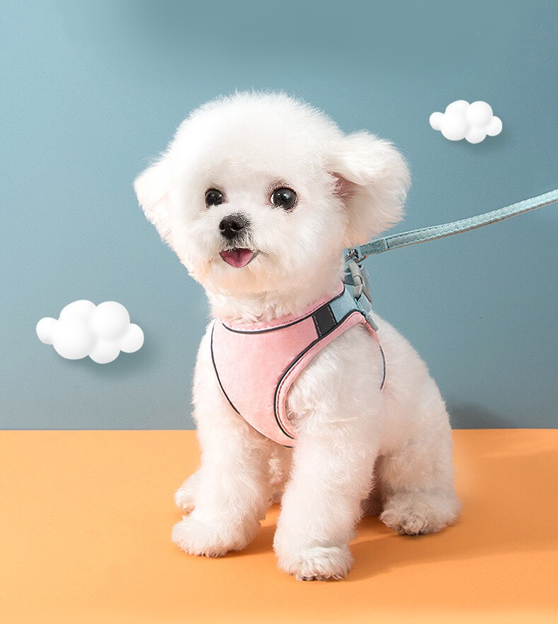 Dây dắt chó mèo kèm yếm chống đột quỵ [ Mookipet ]