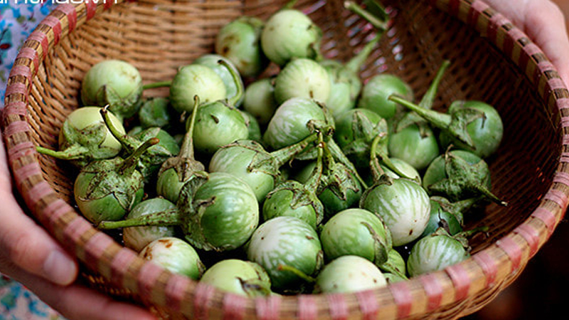 Trái Cà đắng Đặc sản Tây Nguyên (1kg) [ TƯƠI NGON, SIÊU ĐẮNG ]