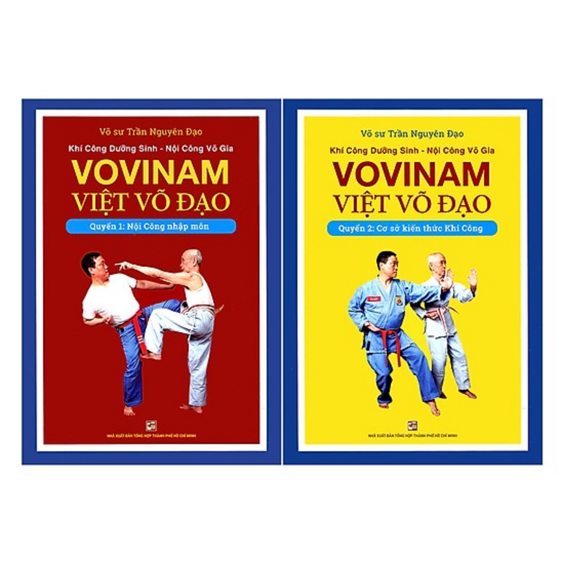 Sách khí công dưỡng sinh nội công võ gia vovinam việt võ đạo – võ sư trần nguyên đạo