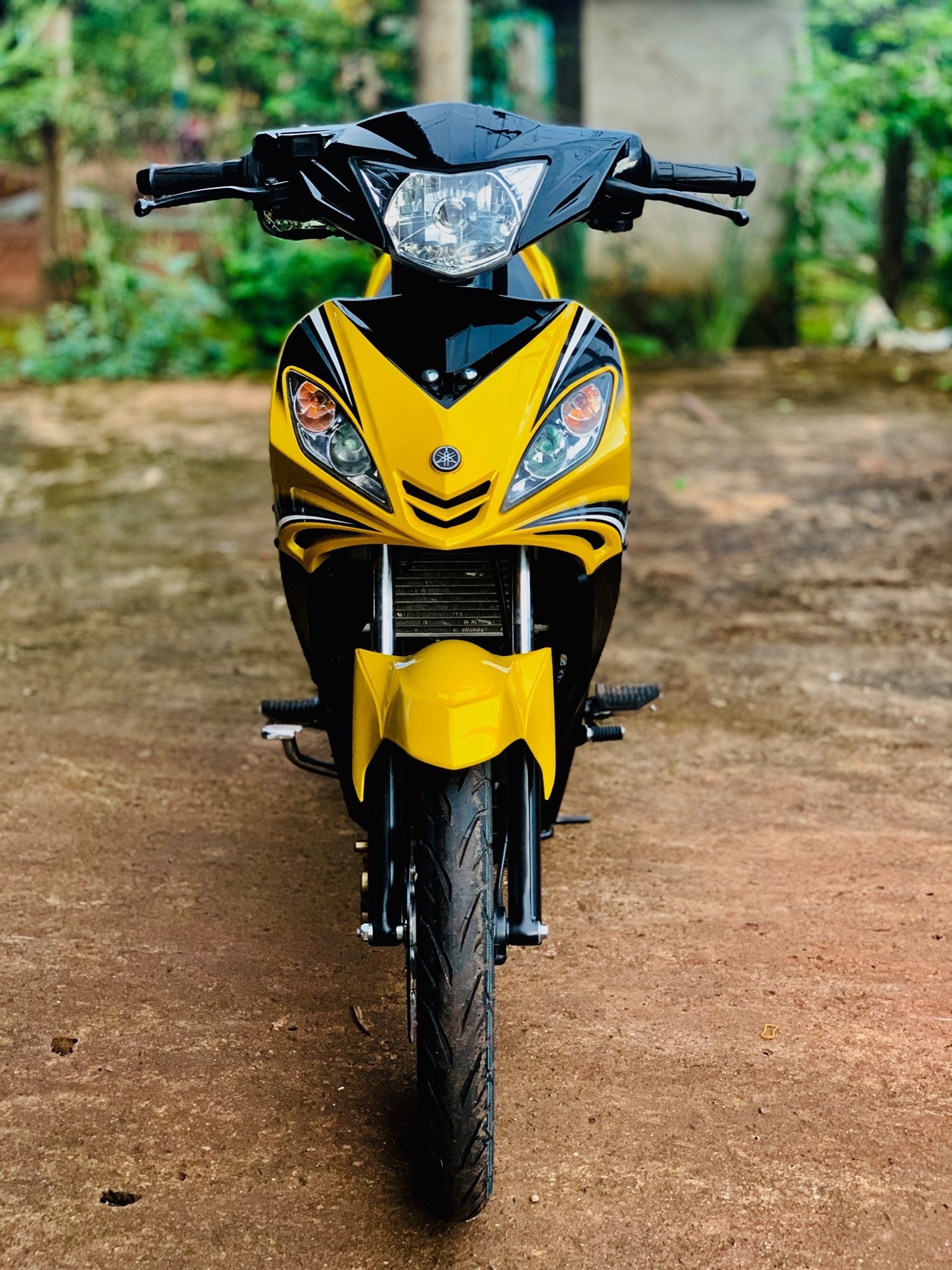 Tem rời exciter Rc 2010 vàng đen