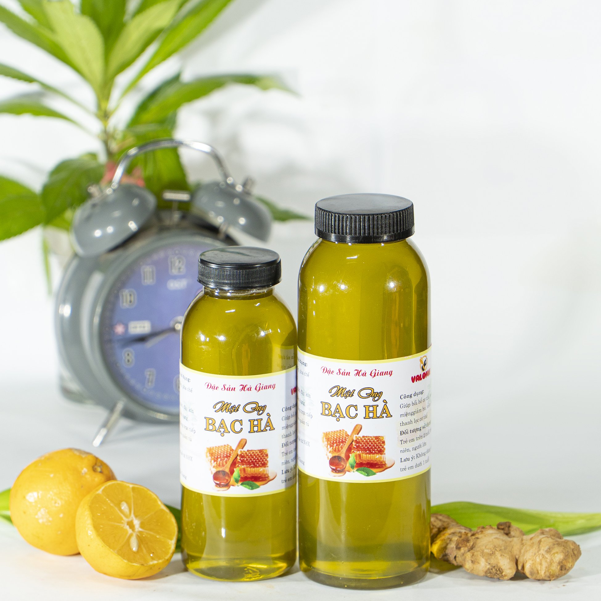Mật Ong Hoa Bạc Hà  chai 500 ml VALOMEE