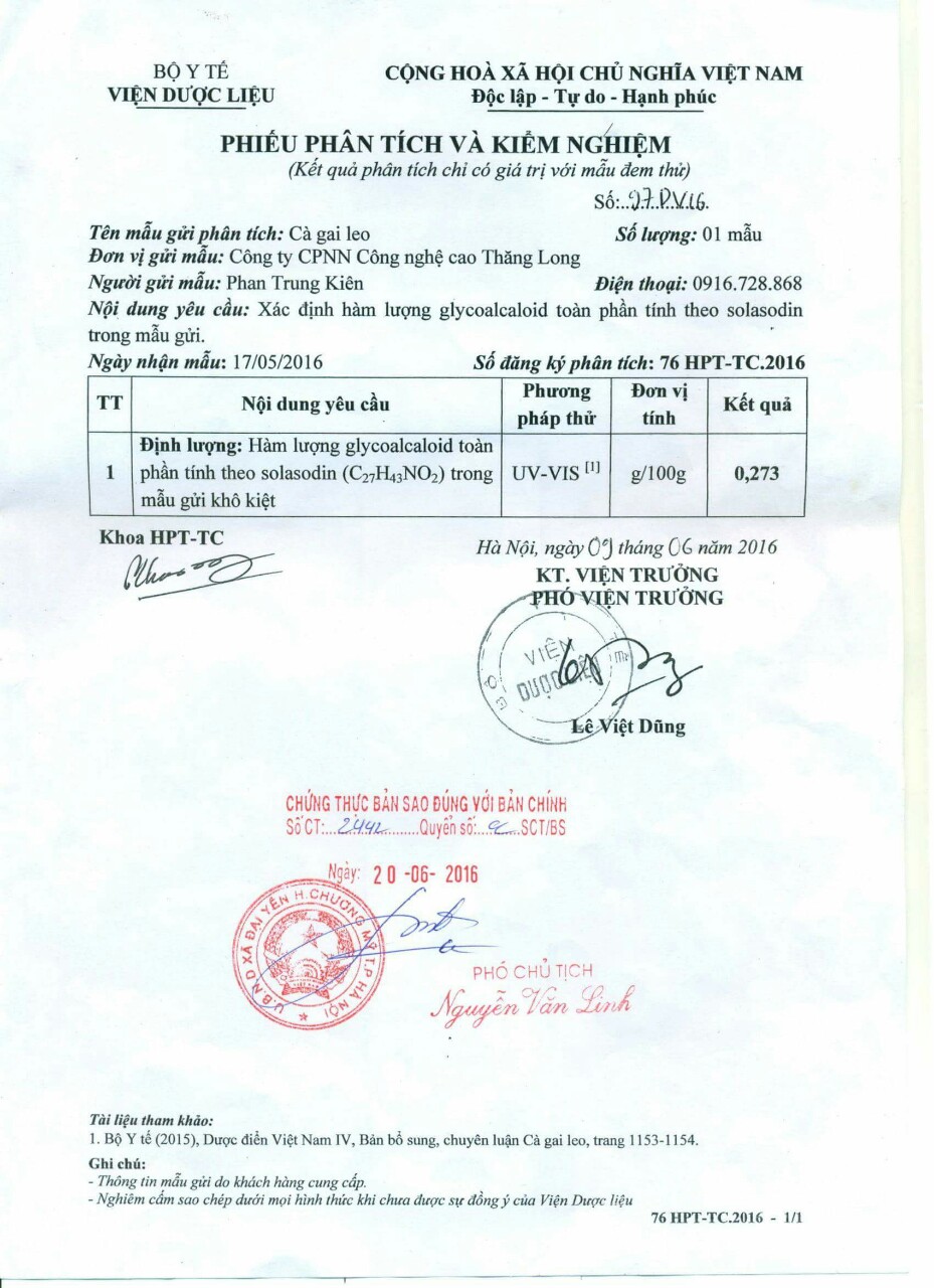 Trà cà gai leo túi lọc Sadu 10 bịch (2,5kg)