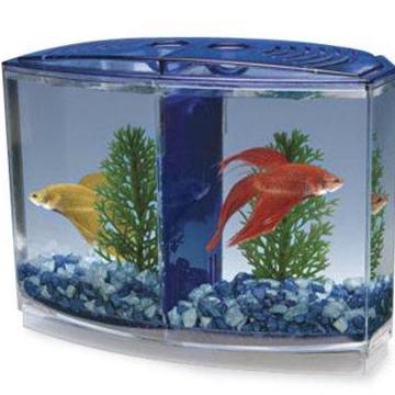 Bể Cá Beta Mini - Hồ Cá Mini Để Bàn Bằng Nhựa Cao Cấp 2 Ngăn